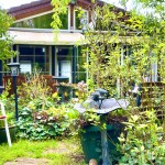 Hausansicht vom Garten aus